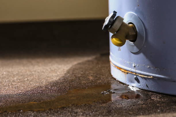 Best Water damage repair service  in Lincoln, CA