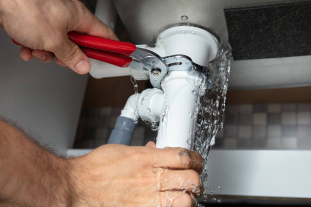 Best Mold removal after water damage  in Lincoln, CA