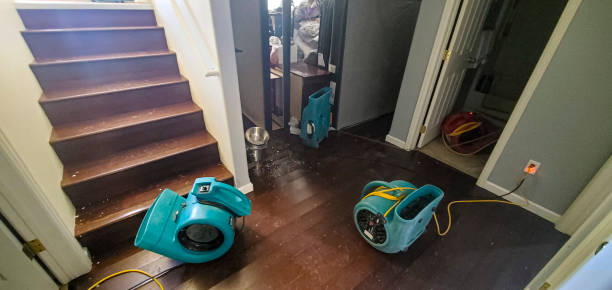 Best Water damage cleanup near me  in Lincoln, CA