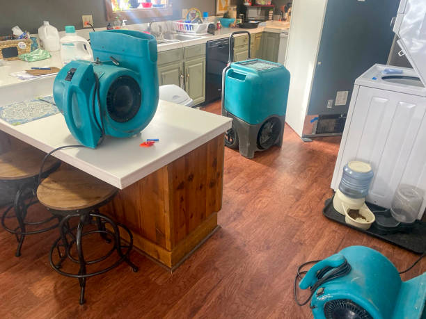 Best Water damage restoration near me  in Lincoln, CA