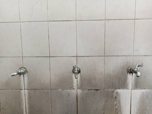 Best Flood restoration services  in Lincoln, CA