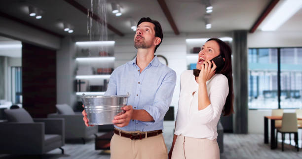 Best Mold removal after water damage  in Lincoln, CA